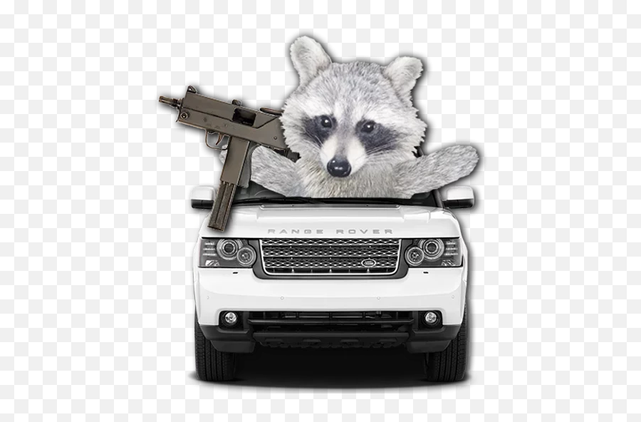 Telegram Sticker 16 From Collection Famous Racoon - Land Rover Front Transparent Emoji,Racoon Emoji