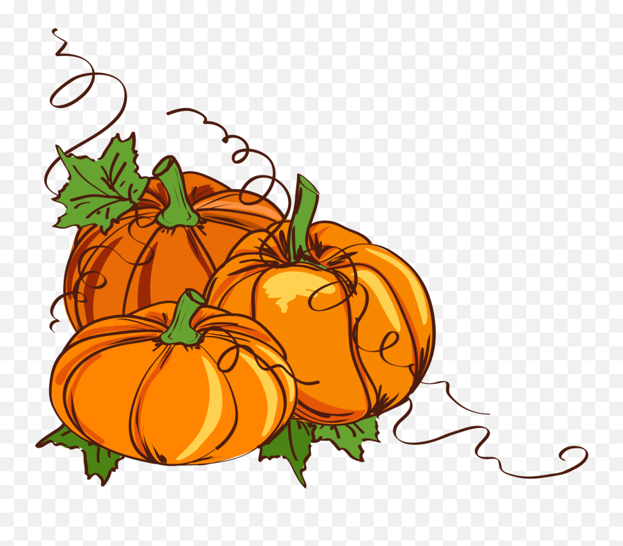Thanksgiving Pumpkin Clipart At Getdrawings - Pumpkin Vines Clip Art Thanksgiving Pumpkins Emoji,Pumpkin Emoji Png