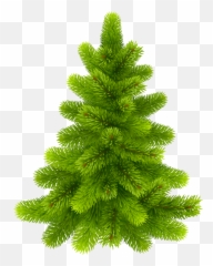 Largest Collection of Free - toEdit pine trees Stickers Clipart Pine Tree Png Emoji