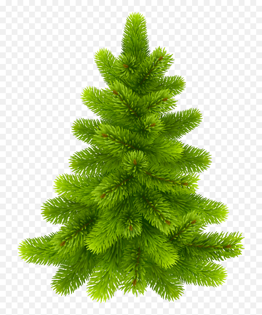 Largest Collection Of Free - Toedit Pine Trees Stickers Clipart Pine Tree Png Emoji,Evergreen Emoji