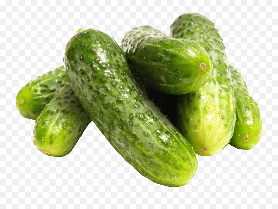 Download Green Cucumber Png Image Hq Png Image - Cucumbers Png Emoji,Cucumber Emoji