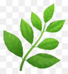 Emoji Emojisticker Plant - Herb Emoji Transparent,Plant Emoji