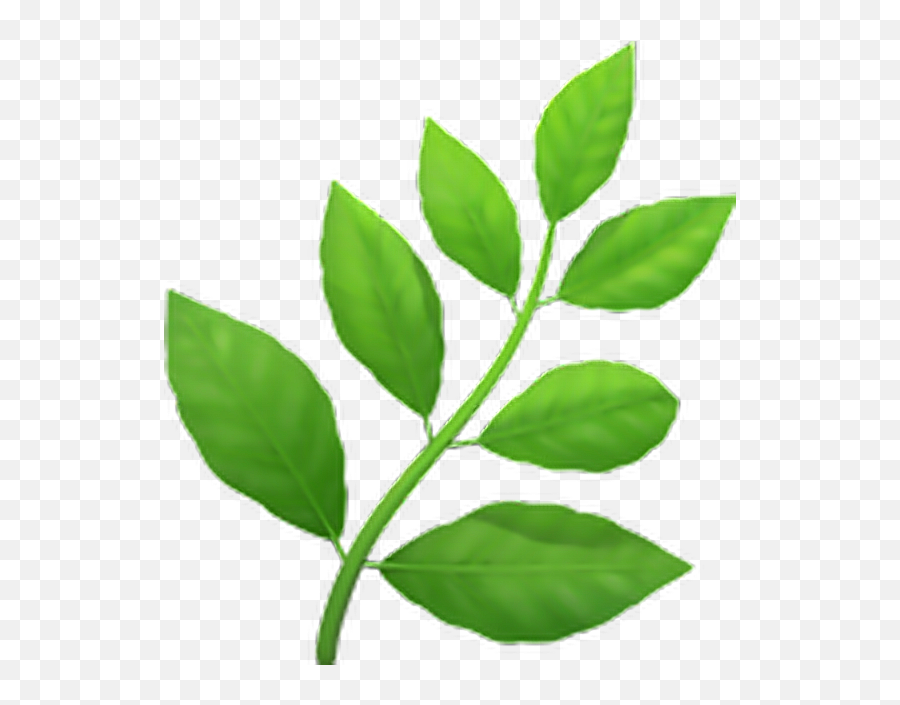 Emoji Emojisticker Plant - Herb Emoji Transparent,Plant Emoji