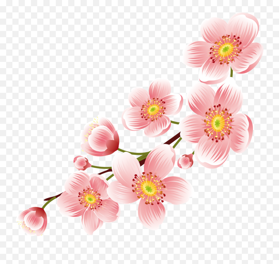 Cherry Png Images Cherry Blossom Transparent Free Download - Cherry Blossoms Frame Png Emoji,Cherry Blossom Emoji