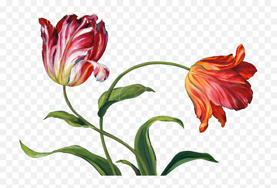 Tulips Transparent Png Image - Freepngdesigncom Painting Emoji,Tulip Emoji