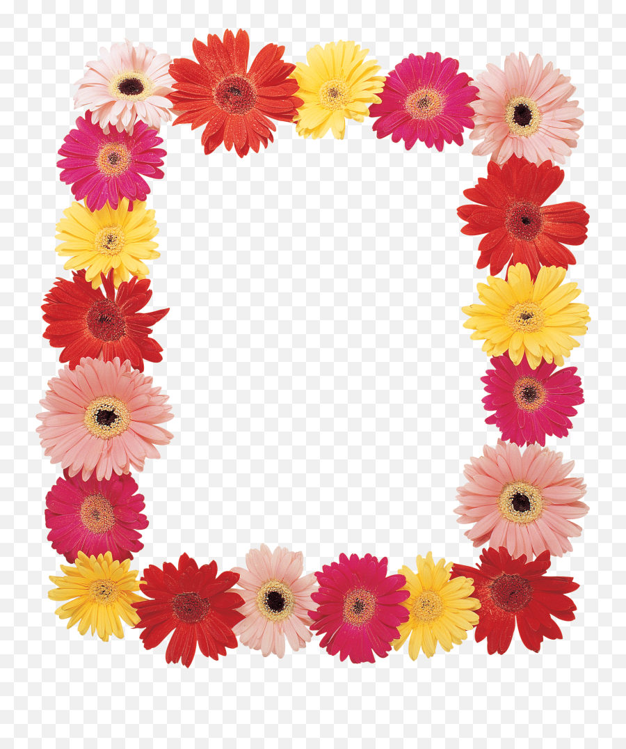 Floral Frame Png - Daisy Frame Png Emoji,Emoji Heaven On Earth