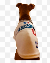 Free - Beer Bottle Emoji,Dodgers Emoji