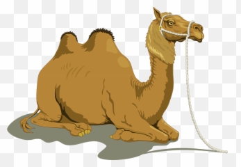 47 Camel Png Transparent Images - Camel Clip Art Emoji,Camel Emoji