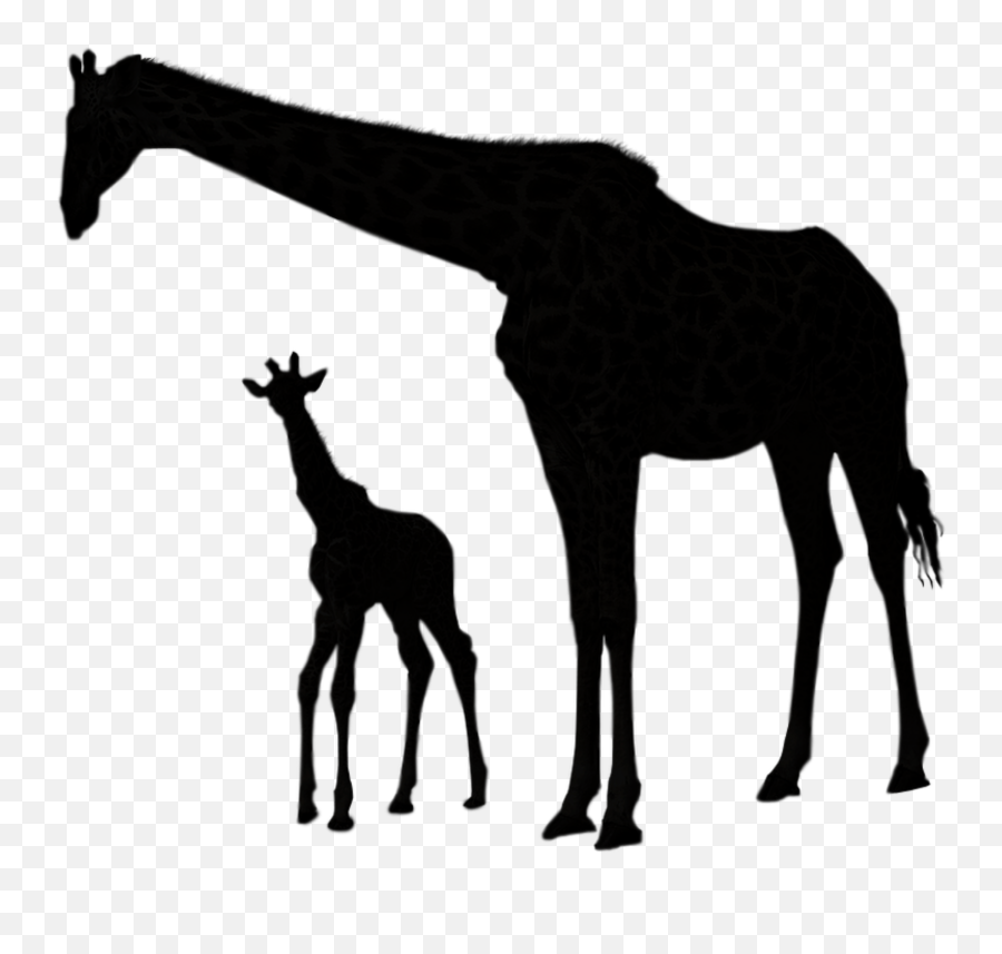 Giraffe Giraffes Shilouette Silhouette - Animals With Young Ones Emoji,Giraffe Emoji