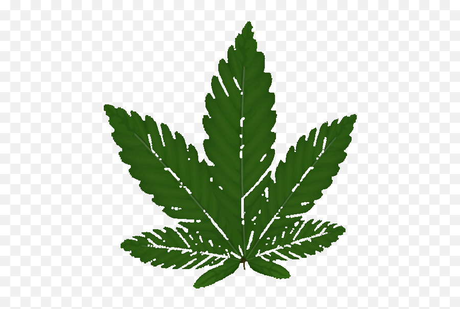 Top Pot Belky Pigs Stickers For Android - Marijuana Leaf Clipart Emoji,Pot Leaf Emoji Android