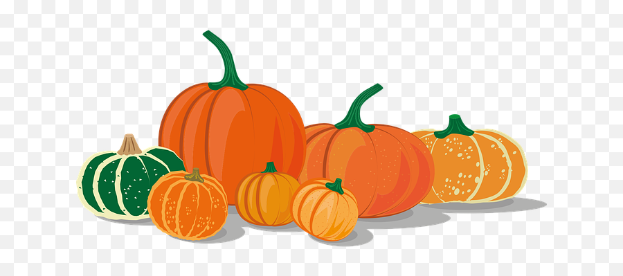 300 Free Pumpkins U0026 Halloween Vectors - Pixabay Pumpkin Drawing Png Emoji,Pumkin Emoji