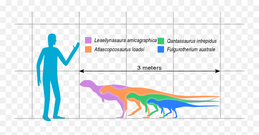 Australian Hypsilophodont Sizes - Diagram Emoji,Dinosaur Text Emoticon
