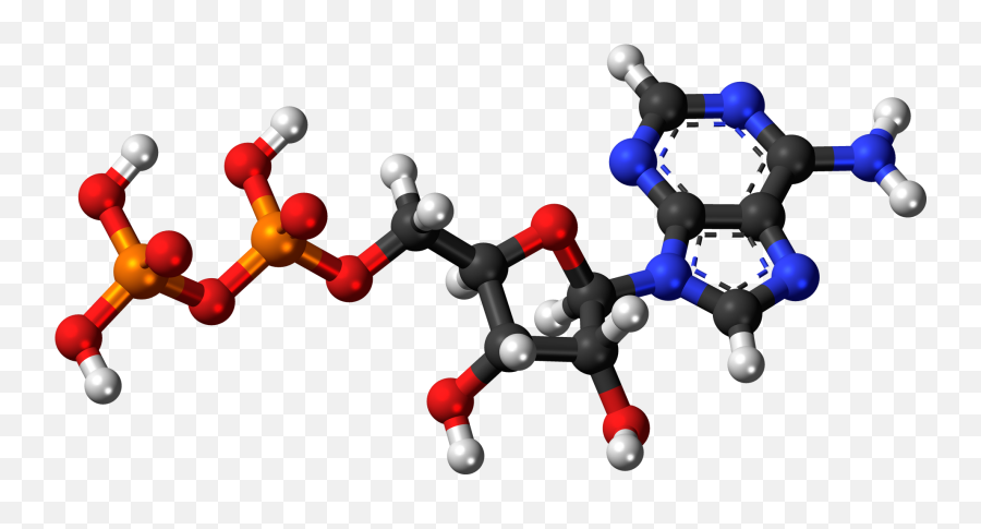 Adenosine Diphosphate - Adenosine Monophosphate 3d Emoji,Emoji Level 36 Answer