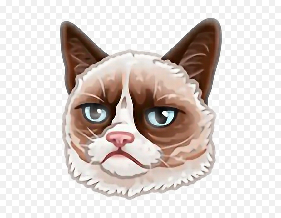 Disgruntled Funny Catfreetoedit Sticker - Just Zoo It Telegram Stickers Emoji,Disgruntled Emoji