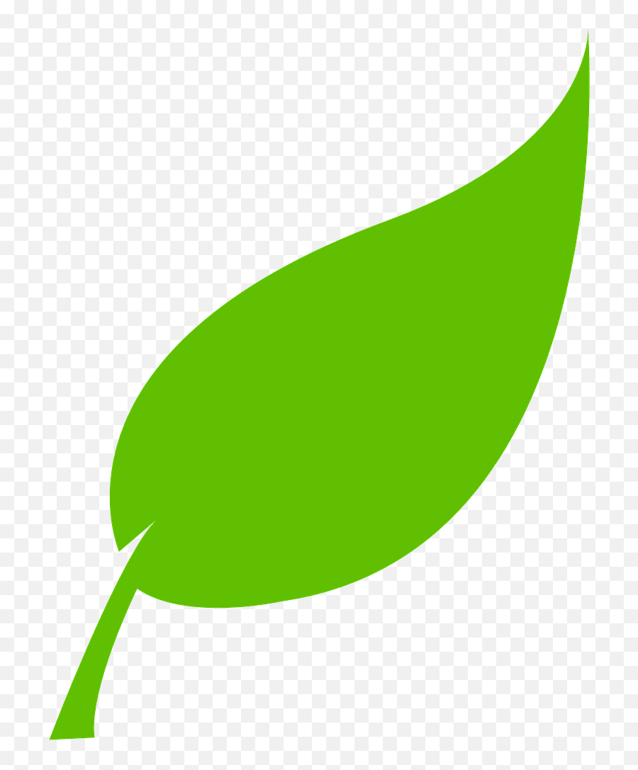 Leaf Green Environment Natural Plant - Tree Leaf Vector Png Emoji,Rose Emoticons