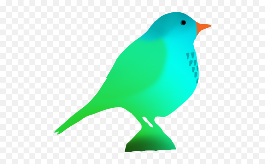 Colorful Bird Clipart Silhouettes In - Bird Colored Silhouette Emoji,Bluebird Emoji