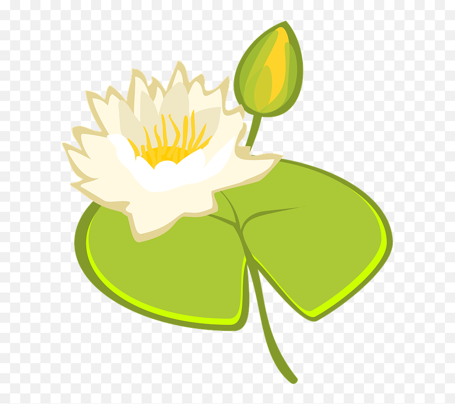 Water Lily Lake - Illustration Emoji,Lily Pad Emoji