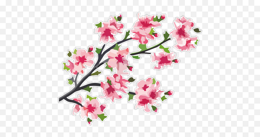 Japan Cherry Blossom Vector Graphics Branch - Japanese Cherry Blossom Png Emoji,Cherry Blossom Emoji