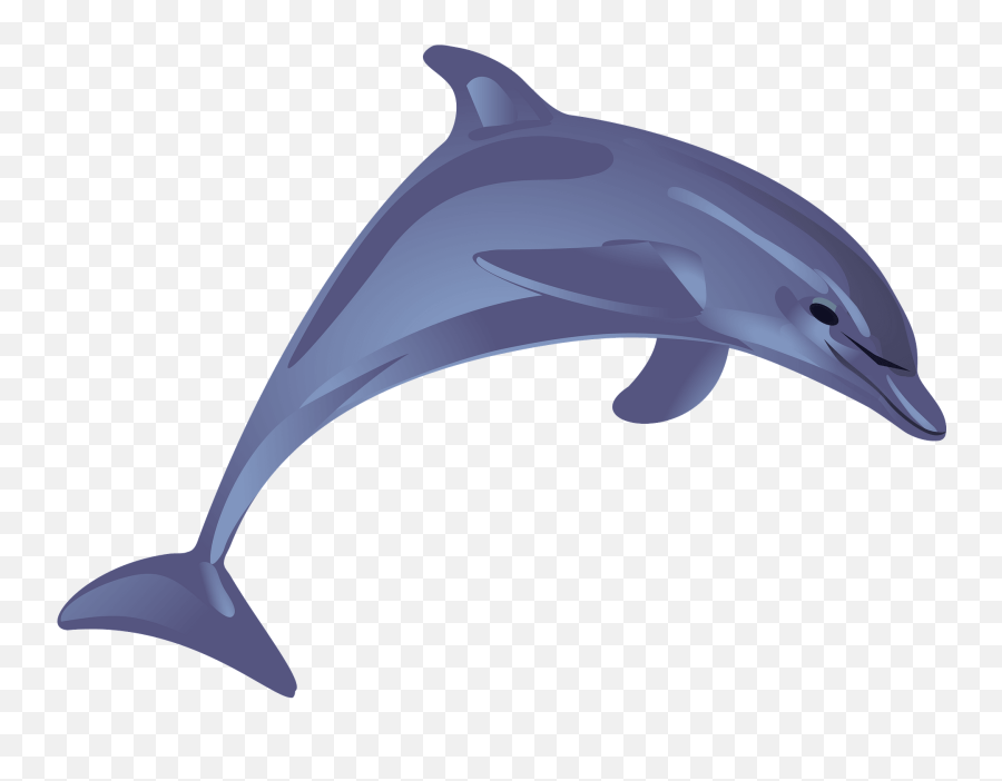 Blue Dolphin Clipart Free Download Transparent Png Creazilla - Dolphin Cartoon Emoji,Dolphin Emoji