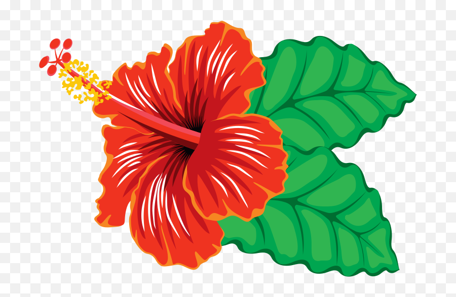 707 Hibiscus Flower Free Clipart - Clipart Of Hibiscus Flowers Emoji,Hibiscus Emoji