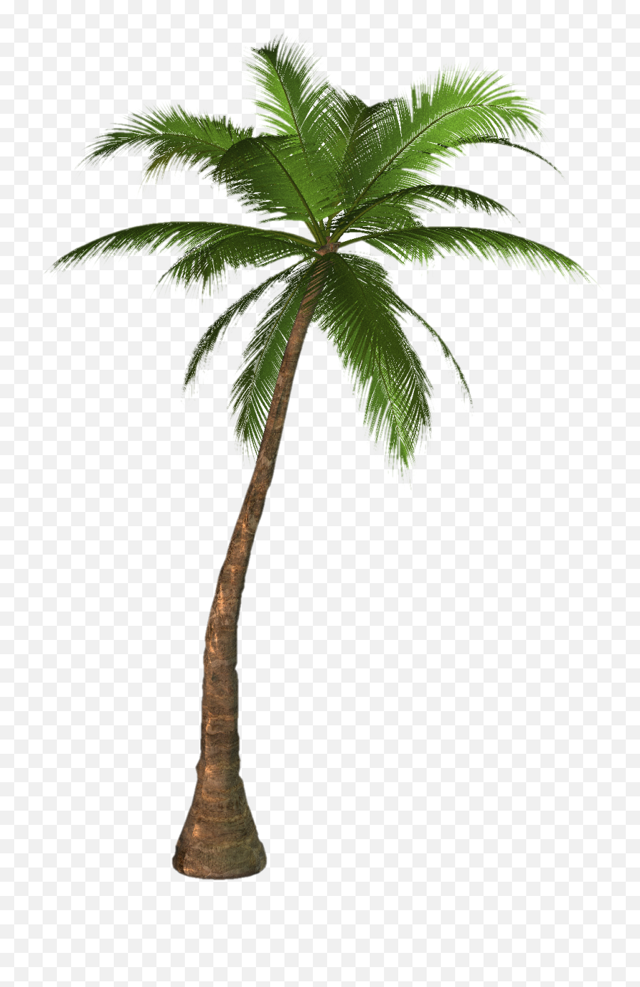 Palm Tree Png Emoji,Palm Tree Emojis