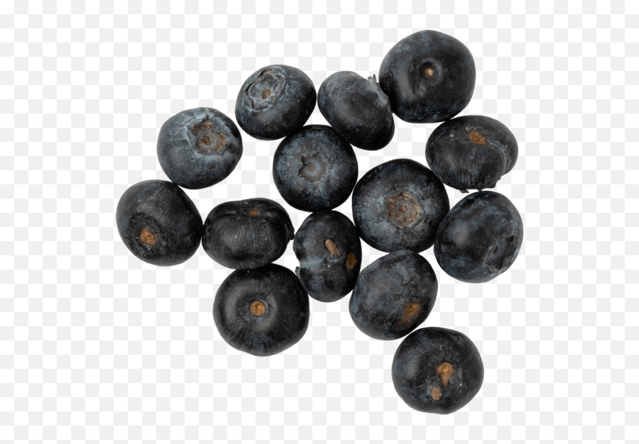 Healthy Lifestyle Png Photos U0026 Pictures Icons8 - Superfood Emoji,Blueberry Emoji