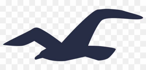 Meaning Hollister Logo And Symbol - Hollister Logo Bird Emoji,Seagull Emoji