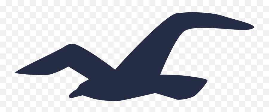 Meaning Hollister Logo And Symbol - Hollister Logo Bird Emoji,Seagull Emoji