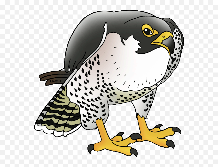 Peregrine Falcon Clipart Clipartfest - Peregrine Falcon Falcon Clip Art Emoji,Falcon Emoji