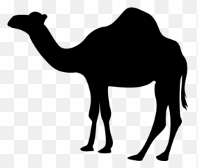 Camel Silhouette Sticker - Camel Silhouette Png Emoji,Camel Emoji