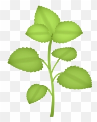 Herb Emoji For Facebook Email Sms - Emoji De Plantas Whatsapp,Plant Emoji
