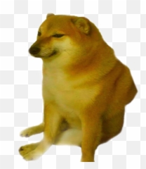 Doge Cheemsburger Cheems Freetoedit - Cheems Dog Emoji,Doge Emoji
