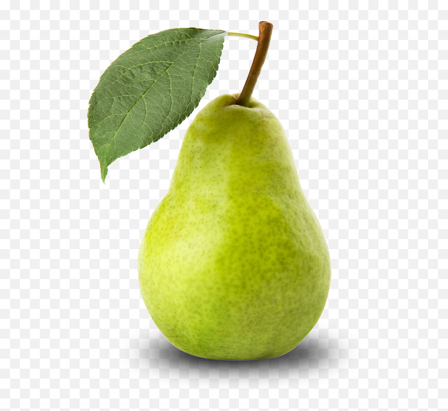 Asian Pear Fruit Clip Art - Pear Png Download 23674144 Pear Png Transparent Emoji,Pear Emoji