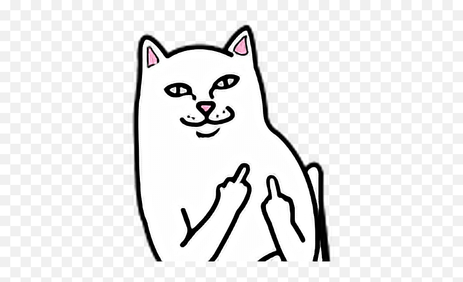 Cat Head Sticker Transparent U0026 Png Clipart Free Download - Ywd White Cat Fuck You Emoji,Cat Heart Emoji Meme