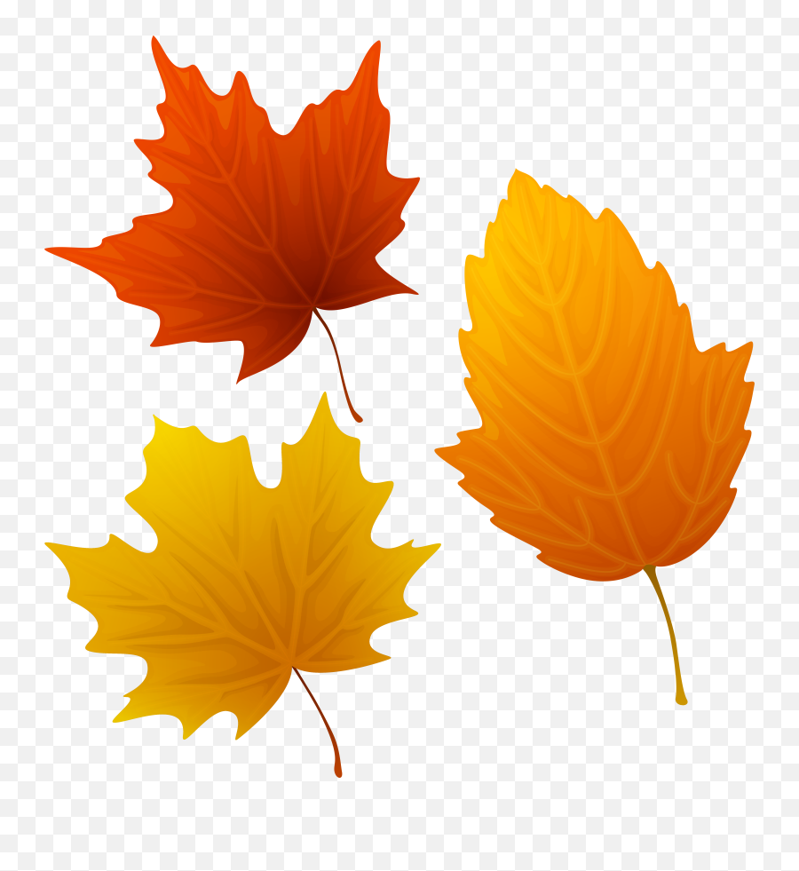 Top 88 Autumn Leaves Clip Art - Fall Leaf Clip Art Png Thanksgiving Leaves Png Emoji,Leaves Emoji