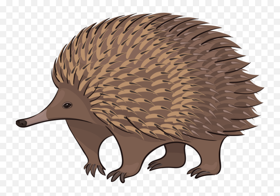 Doted Porcupine Wall Sticker - Echidna Emoji,Porcupine Emoji