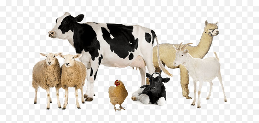 Stickers - Animal And Its Uses Emoji,Emoji Cow