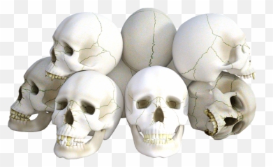 Skulls Horror Death Halloween Dead - Skulls Png Emoji,Harley Davidson Emoji