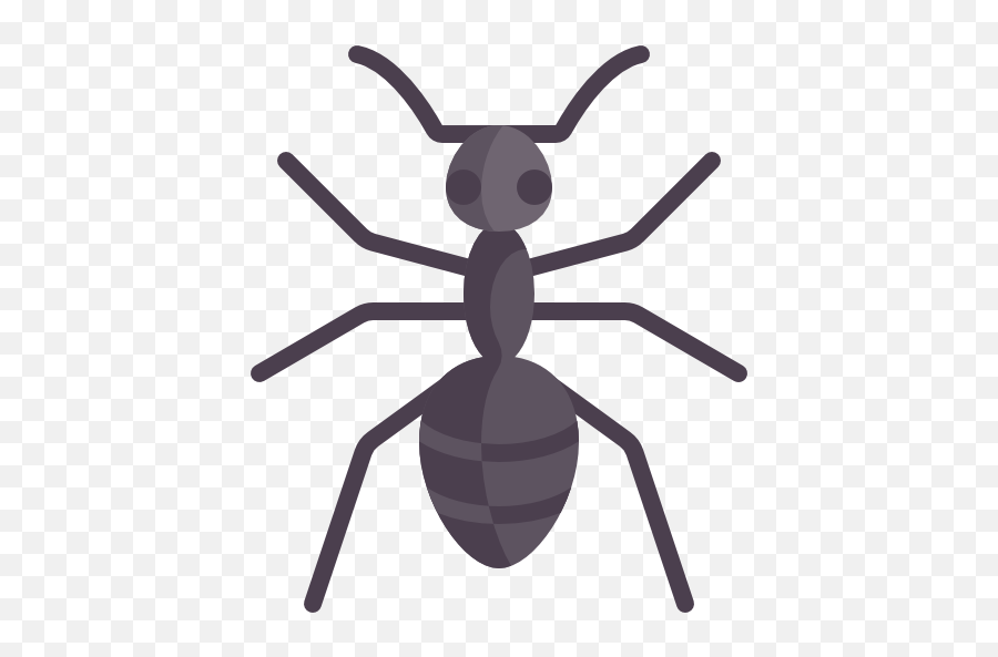 Ant Icon Png Picture - Ant Flat Icon Emoji,Ant Emoji