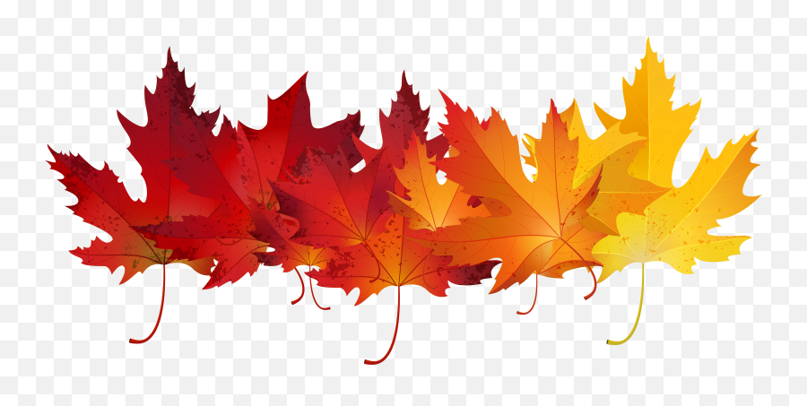 Autumn Leaf Color Clip Art - Fall Leaves Clipart Transparent Background Emoji,Autumn Leaf Emoji