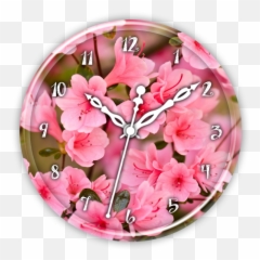 Cherry Blossom Clock Live Wp - Hình Nn Hoa Ào Ngày Tt Emoji,Cherry Blossom Emoji