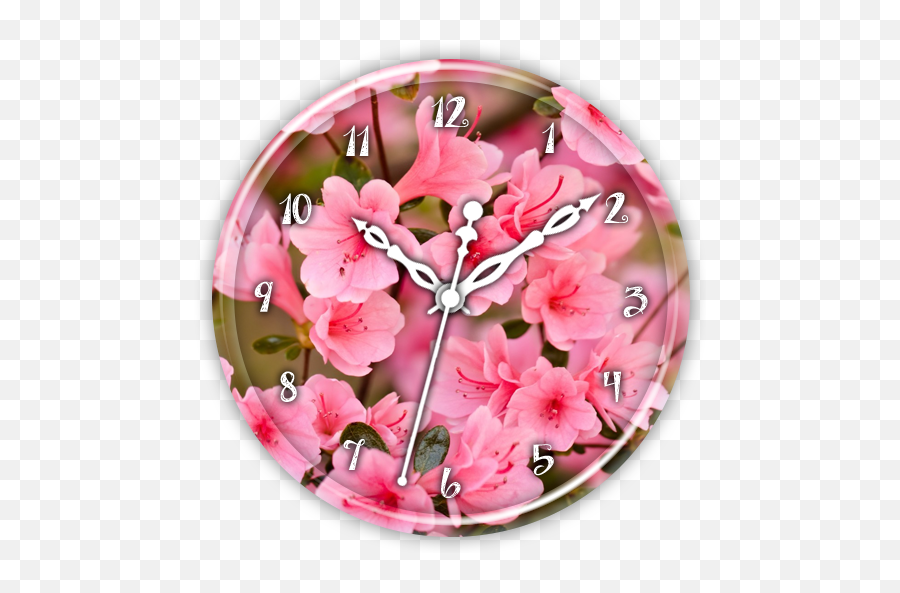 Cherry Blossom Clock Live Wp - Hình Nn Hoa Ào Ngày Tt Emoji,Cherry Blossom Emoji