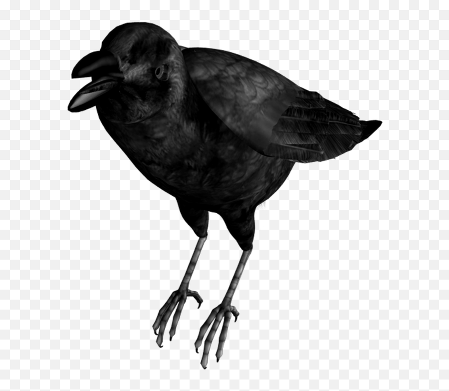 Mq Black Birds Bird Flying Raven - Common Raven Emoji,Black Bird Emoji
