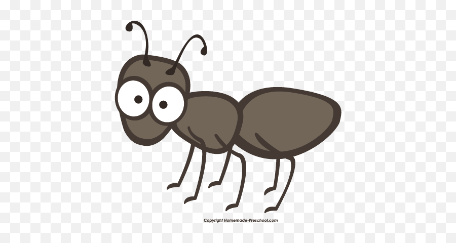 Ant Free Picnic Clipart - Transparent Background Ant Clipart Emoji,Ant Emoji