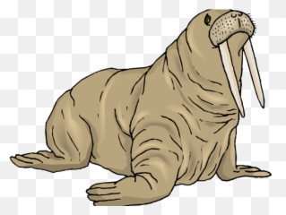 Angry Face Free Download Clip Art - Free Walrus Clipart Emoji,Walrus Emoticon