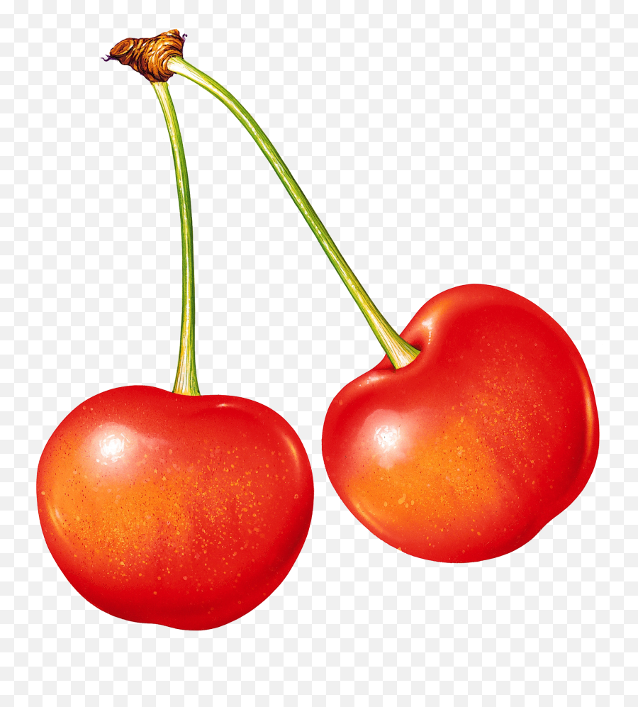 Fruits Name Transparent Png Clipart - Fruits Without Background Emoji,Fruit Emoji Names