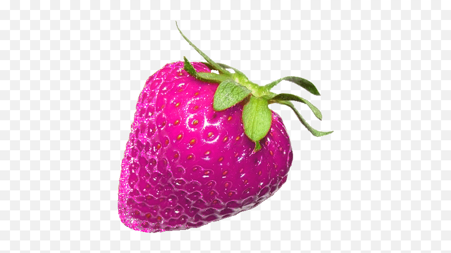 Top Strawberry Shortcakr Stickers For Android Ios - Strawberry Gif Transparent Emoji,Strawberry Emoji