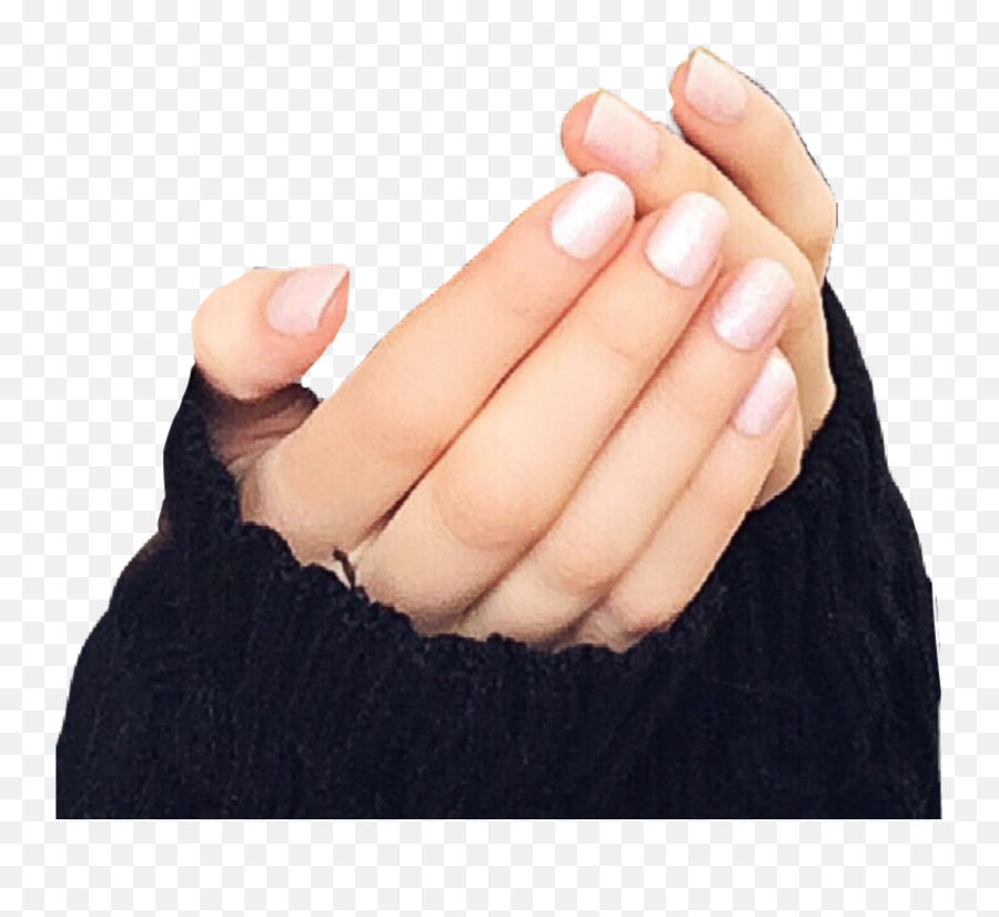 Hand Hands Holding Cupped Tenderhan Caring Precious War - Sign Emoji,Caring Emoji