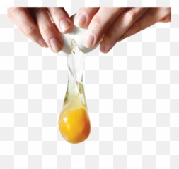 Eggs PNG image free download pictures of eggs - Yolk Png Emoji