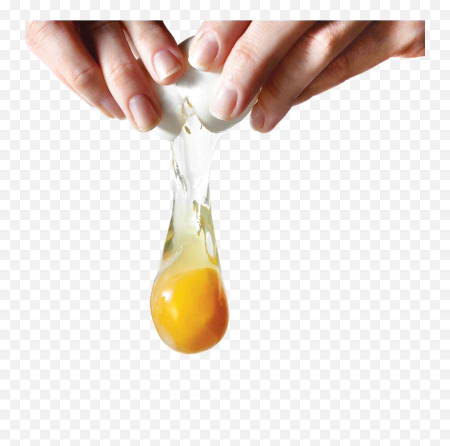 Eggs Png Image Free Download Png Pictures Of Eggs - Egg Yolk Png Emoji,Cracked Egg Emoji